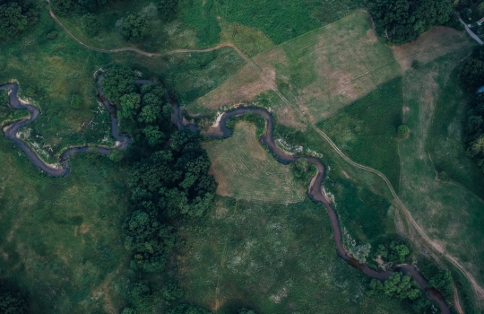 Natura
